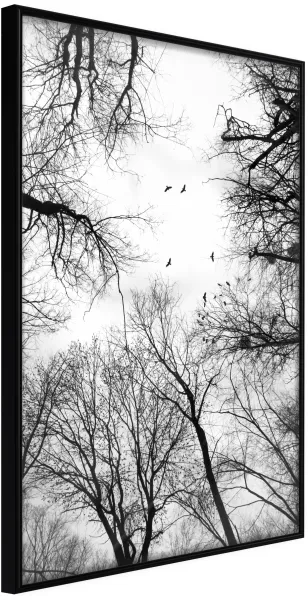 ARTGEIST Innrammet plakat - Treetops Svart 40x60