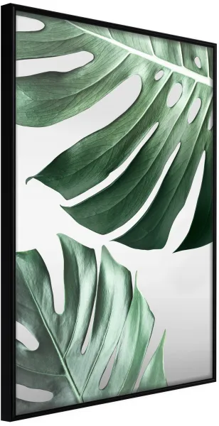 ARTGEIST Innrammet plakat - Leaves Like Swiss Cheese Svart 30x45